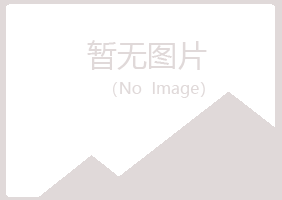 白城夏岚音乐有限公司